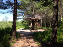 Load image into Gallery viewer, Support the Parks and Lands You Love