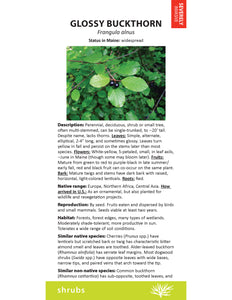Maine Invasive Plants Field Guide
